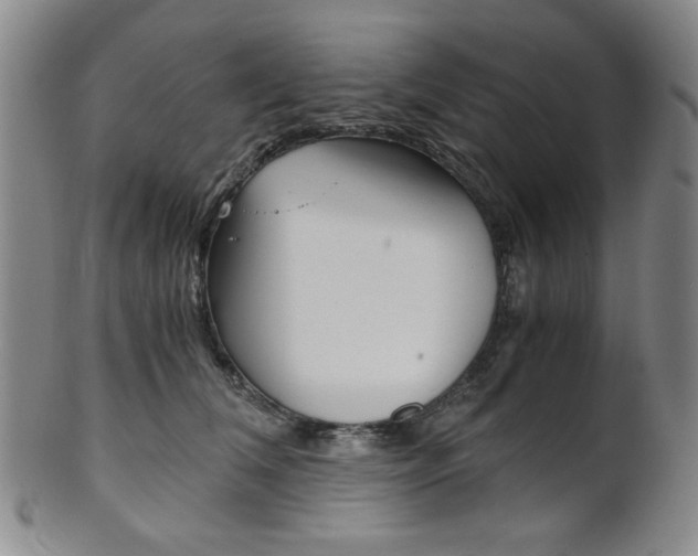 X0000101680612200807101146