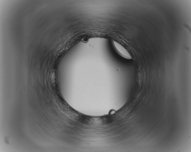 X0000101680613200807101146