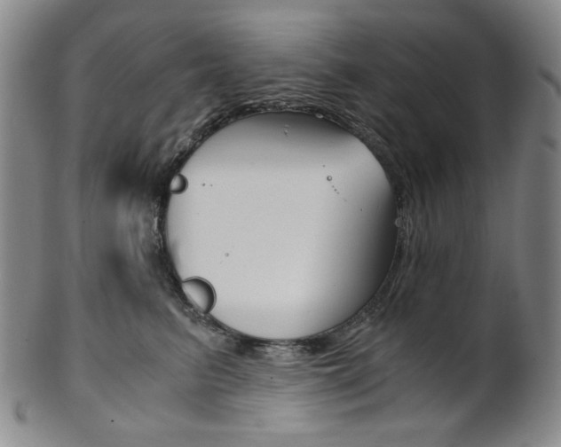 X0000101680615200807101146