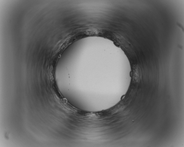 X0000101680616200807101146