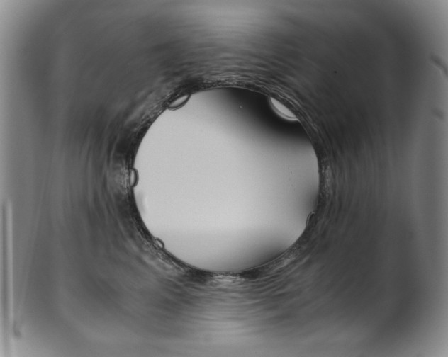 X0000101680617200807101146