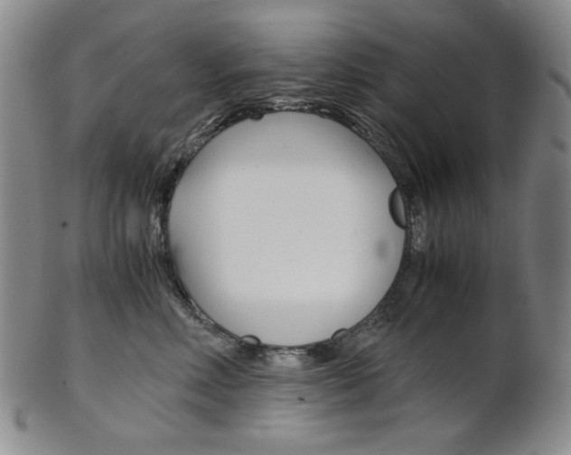 X0000101680618200807101146
