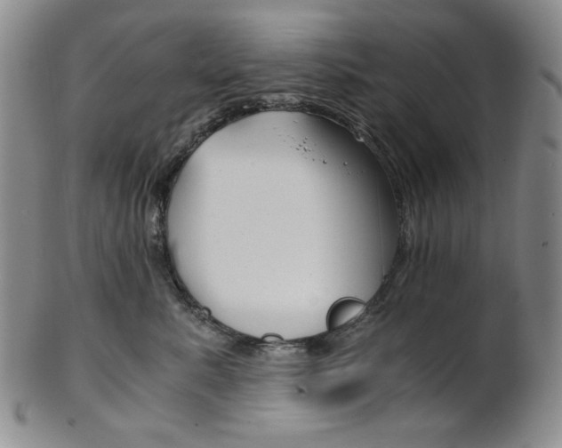 X0000101680619200807101146