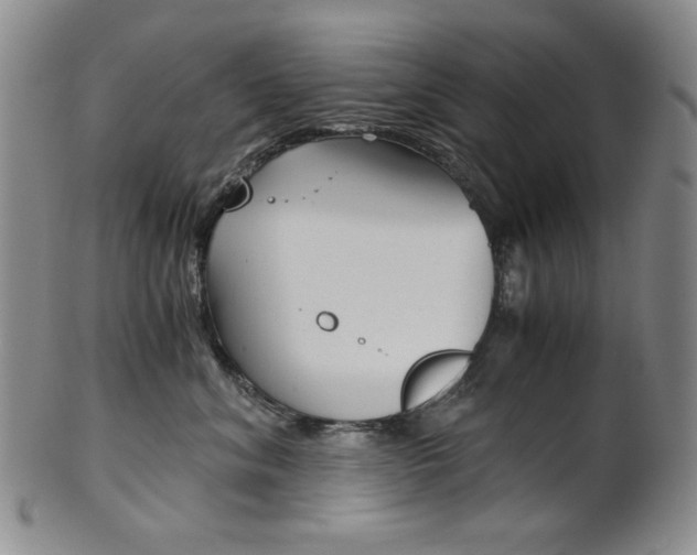 X0000101680620200807101146