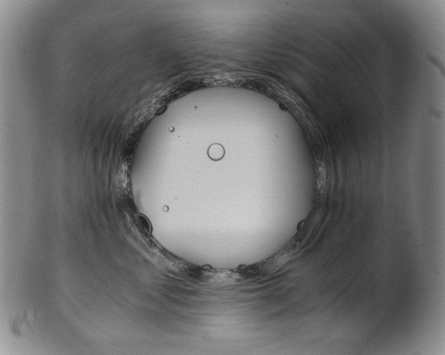 X0000101680621200807101146