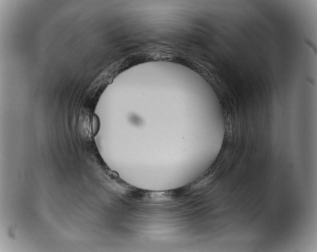 X0000101680622200807101146