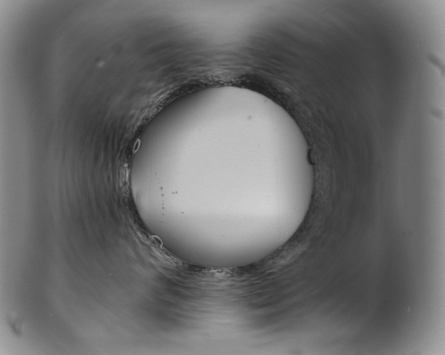 X0000101680624200807101146
