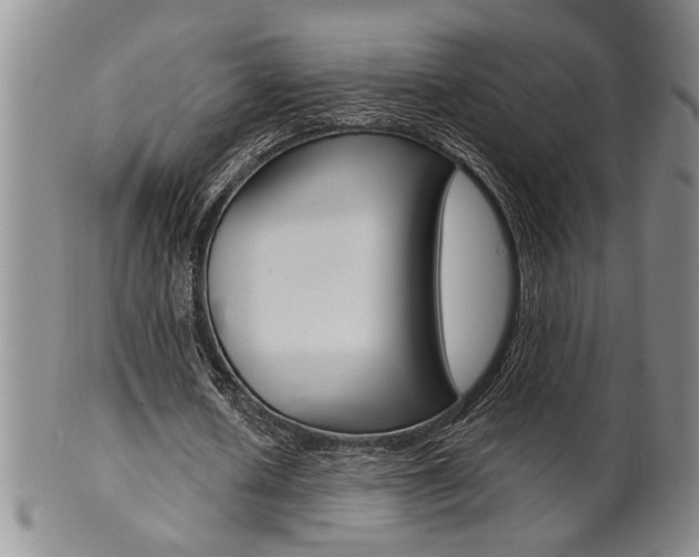 X0000101680626200807101145