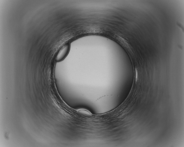 X0000101680627200807101145