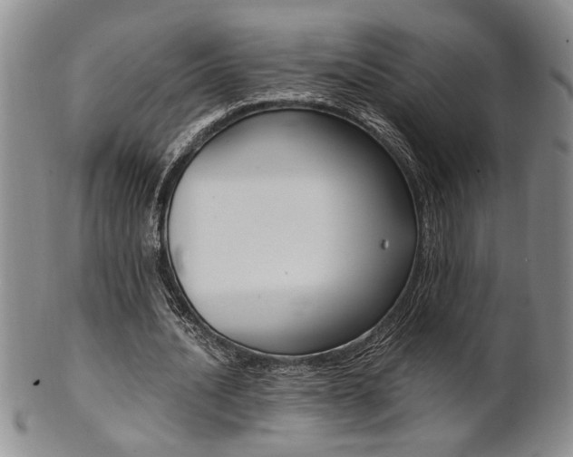 X0000101680628200807101145