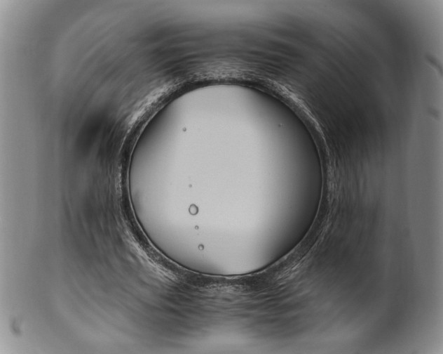 X0000101680629200807101145