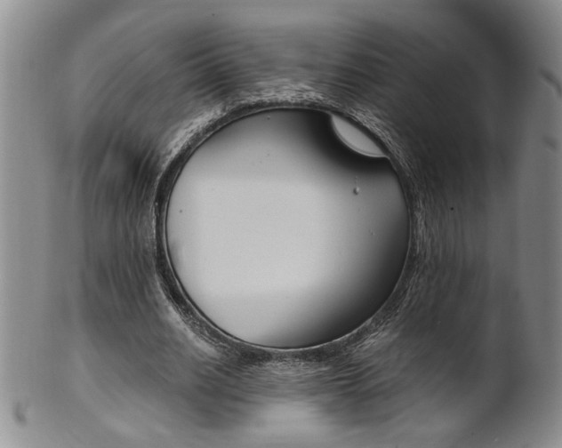 X0000101680630200807101145