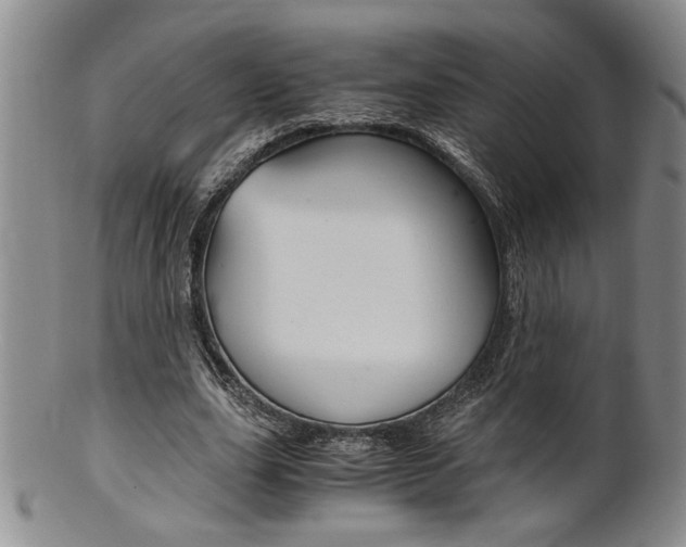 X0000101680631200807101145