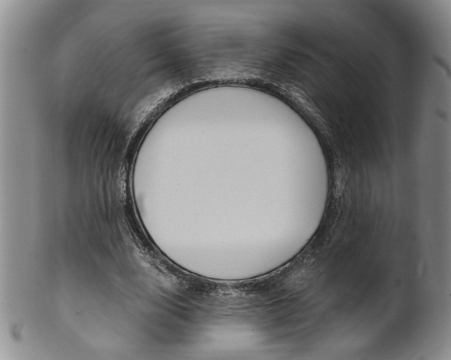 X0000101680632200807101145