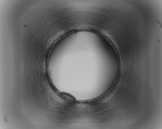 X0000101680633200807101145