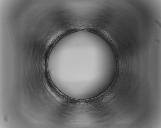 X0000101680634200807101145