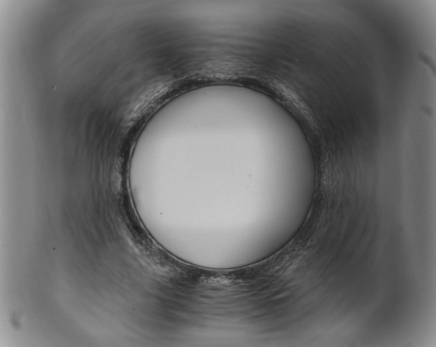 X0000101680635200807101145