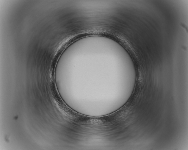 X0000101680636200807101145