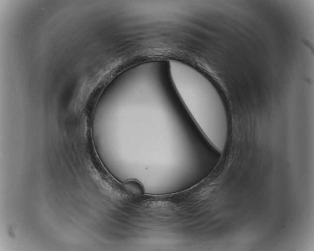X0000101680637200807101145