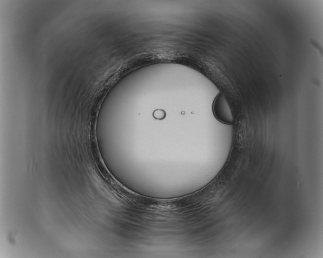 X0000101680639200807101145