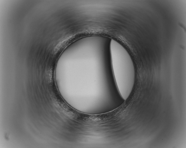 X0000101680640200807101145
