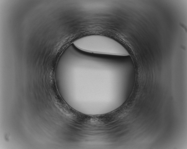 X0000101680641200807101145