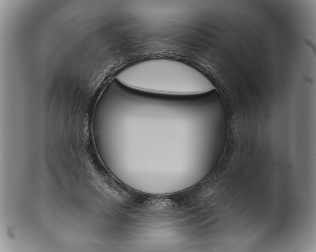 X0000101680642200807101145