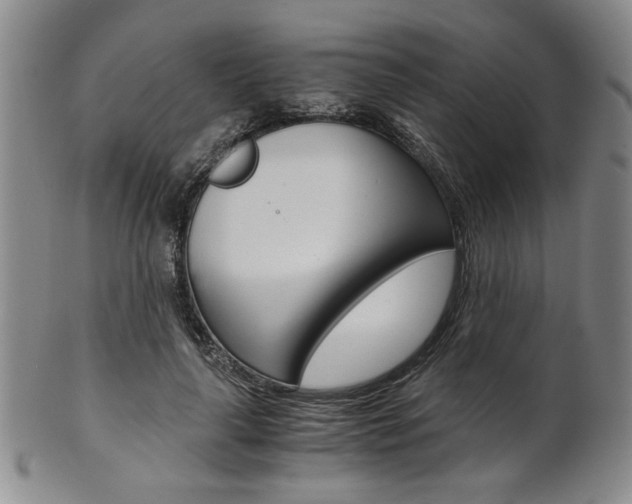 X0000101680643200807101146