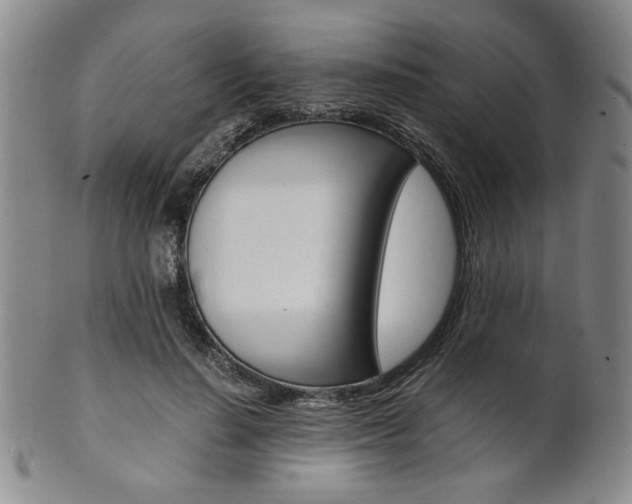 X0000101680644200807101146