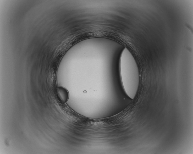 X0000101680645200807101146