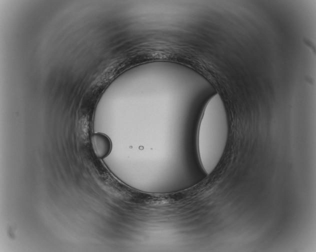 X0000101680646200807101146