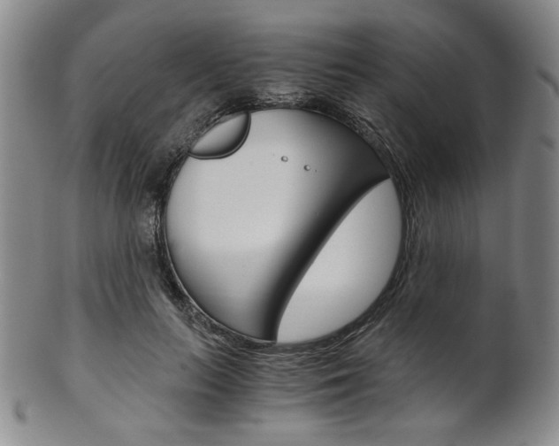 X0000101680647200807101146