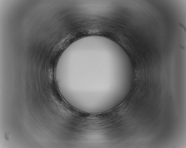 X0000101680648200807101146