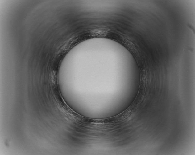 X0000101680649200807101146