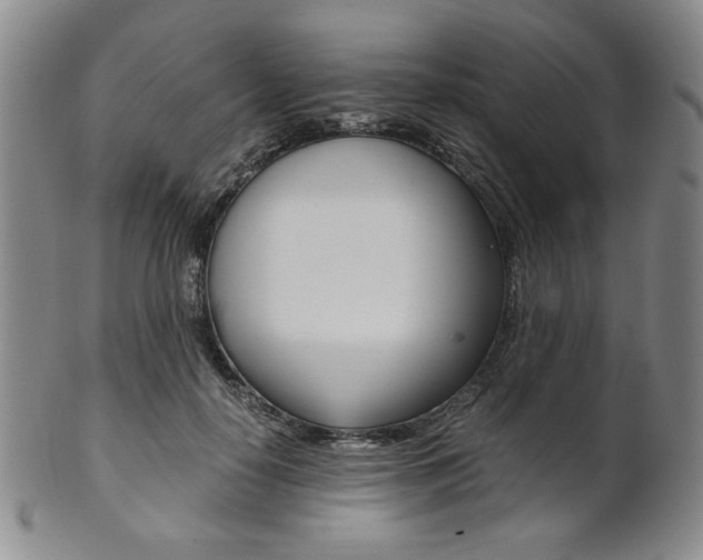 X0000101680650200807101146
