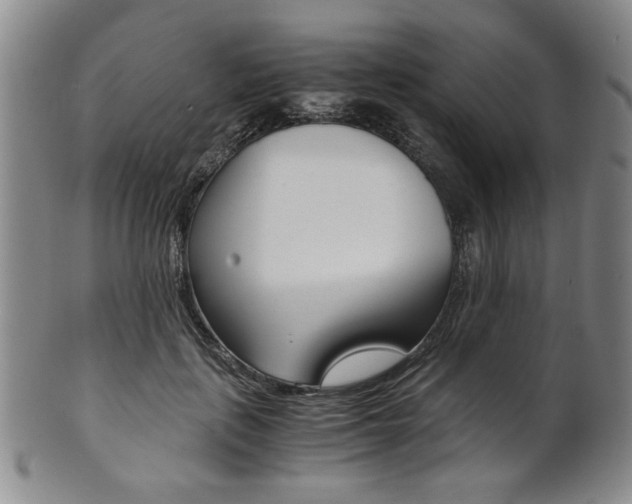 X0000101680651200807101146