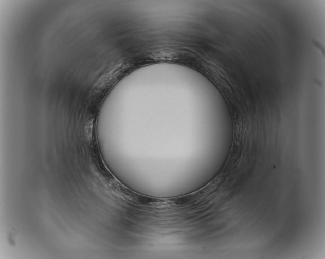 X0000101680652200807101146