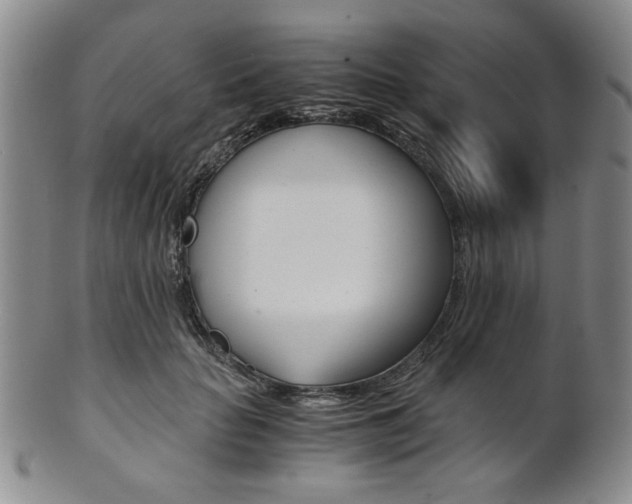 X0000101680653200807101146