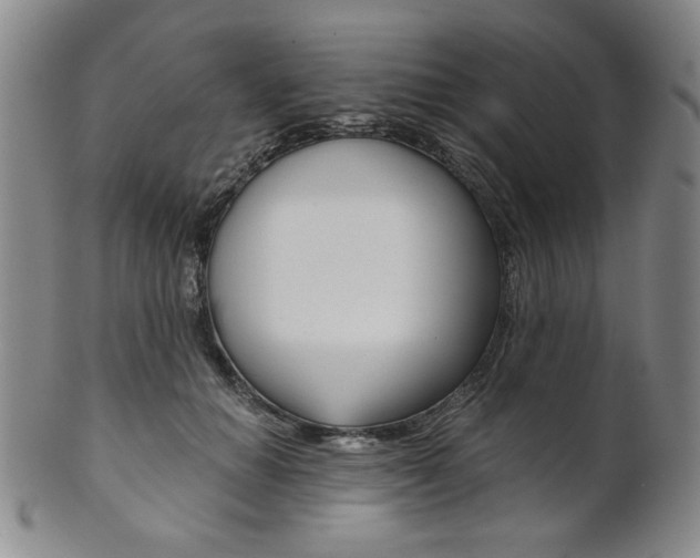 X0000101680654200807101146