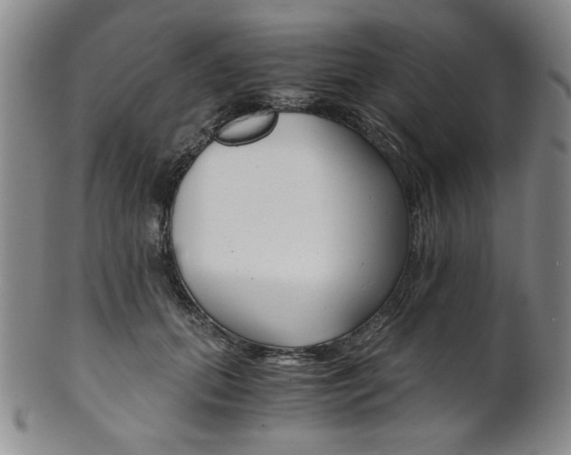 X0000101680655200807101146