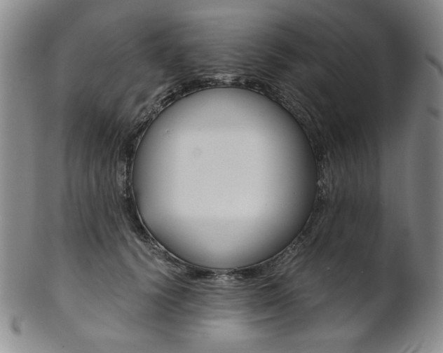 X0000101680656200807101146