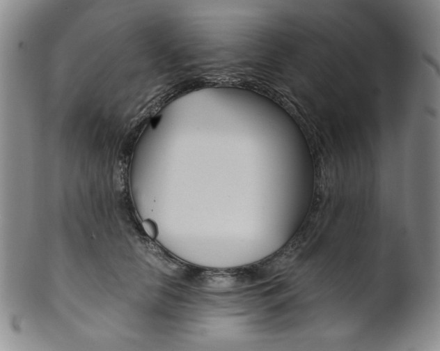 X0000101680658200807101146
