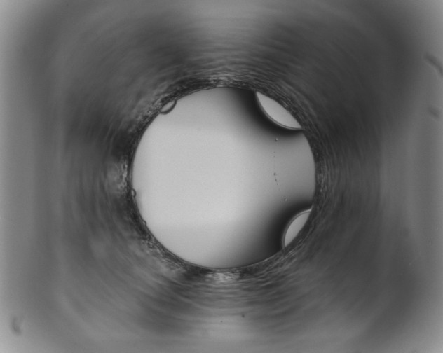 X0000101680660200807101146