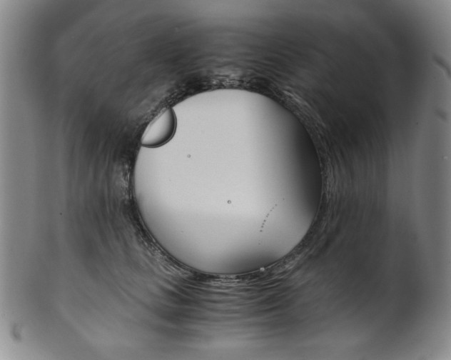 X0000101680661200807101146