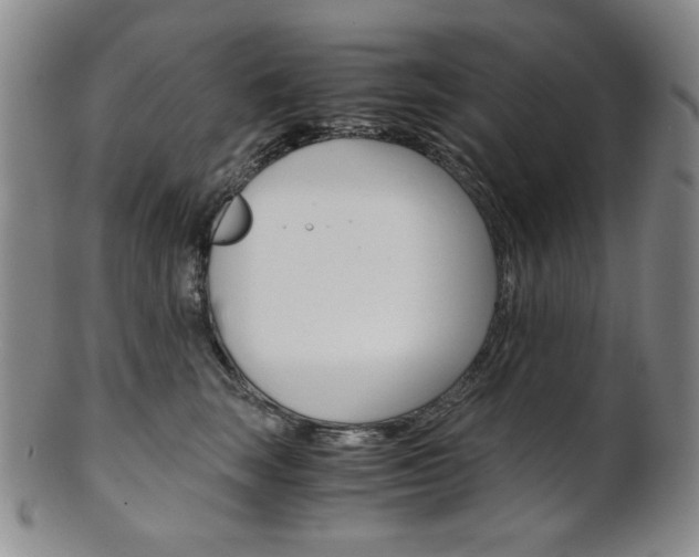 X0000101680663200807101146