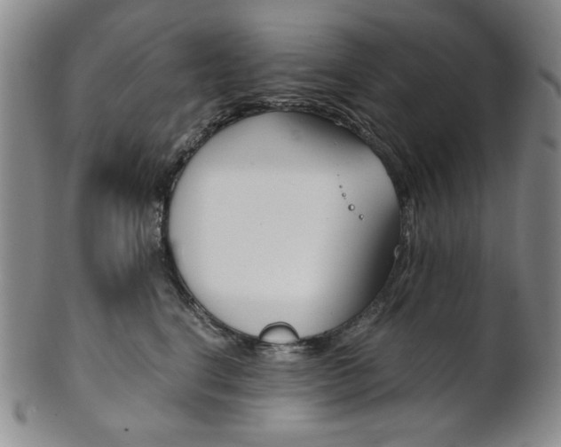 X0000101680664200807101146