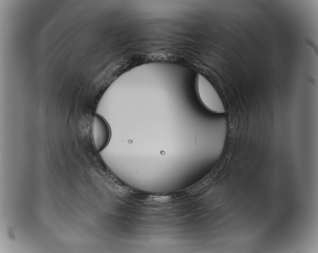 X0000101680665200807101146