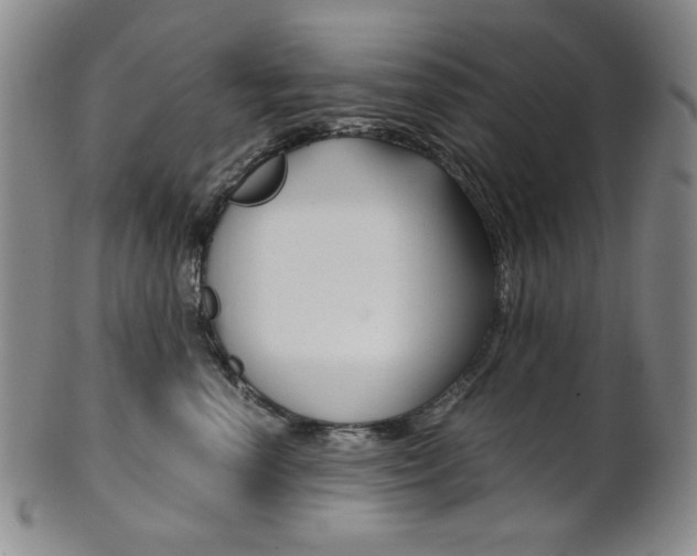 X0000101680666200807101146
