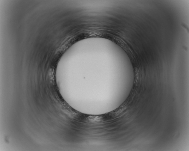 X0000101680667200807101146