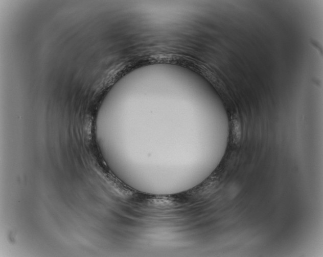 X0000101680668200807101146